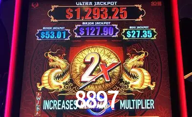 VIP Casino 8897